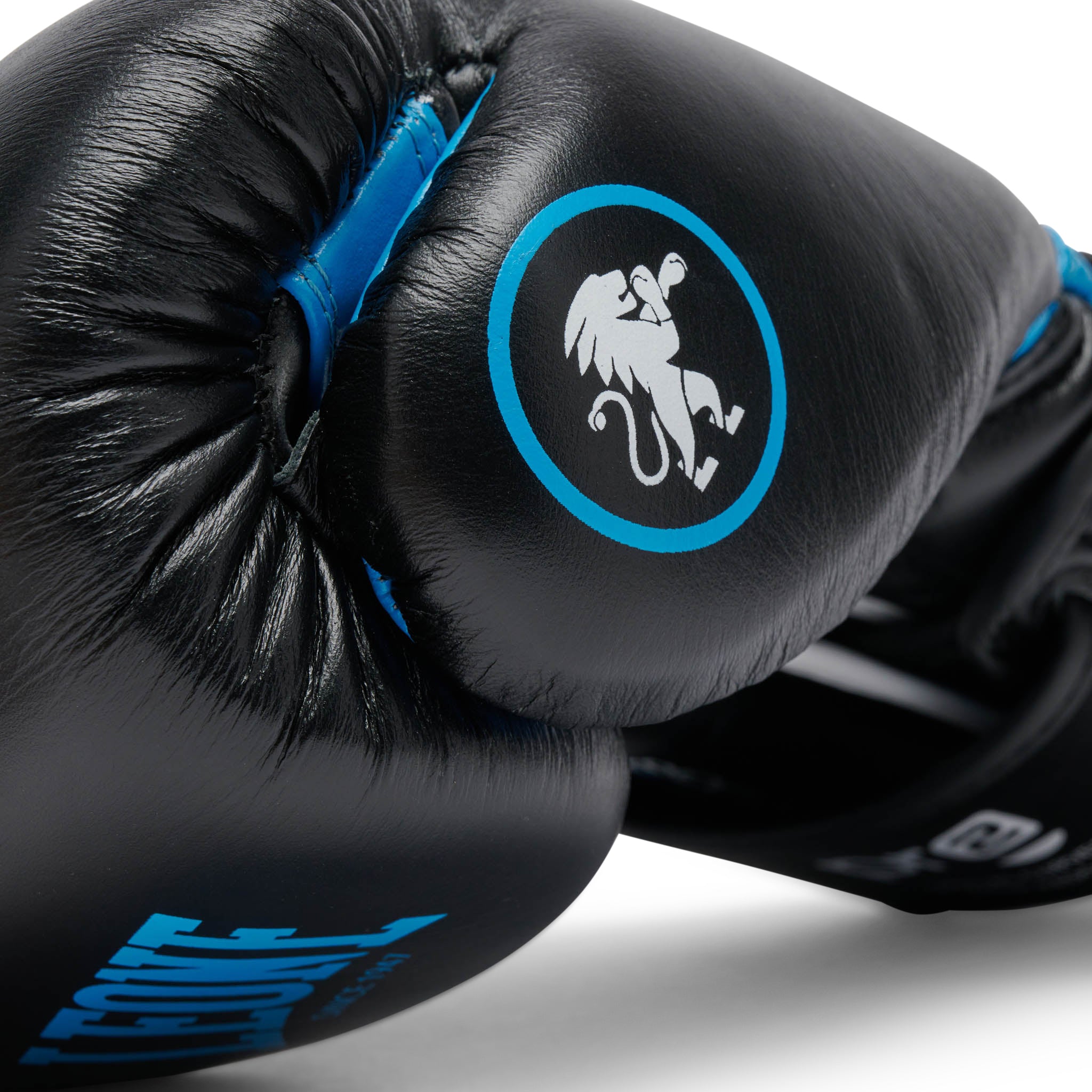 Leone Boxing Professional 2 Gloves