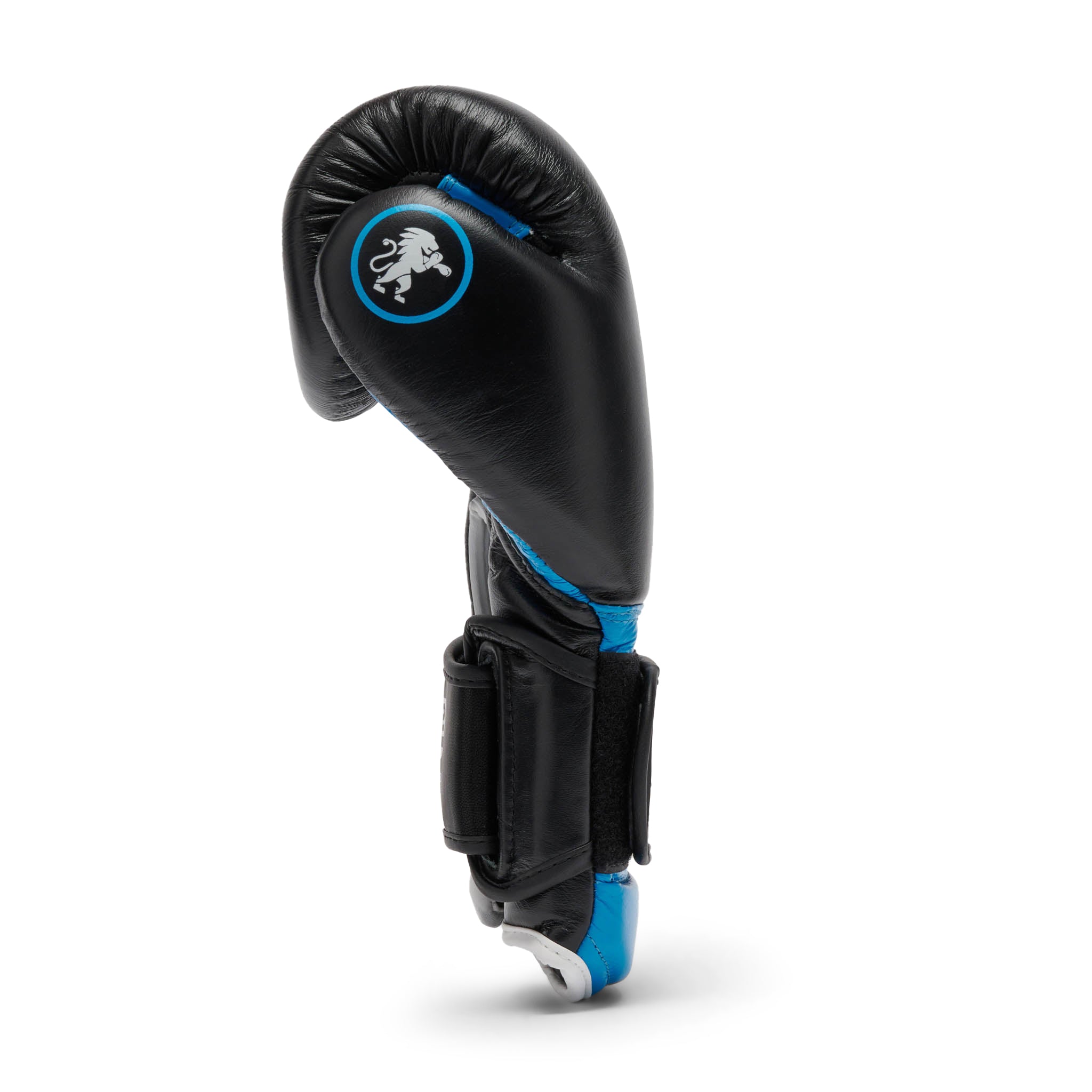 Leone Boxing Professional 2 Gloves