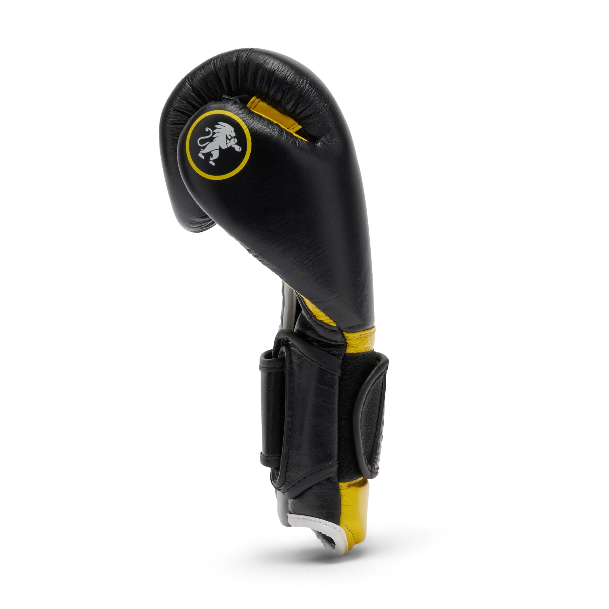 Leone Boxing Professional 2 Gloves