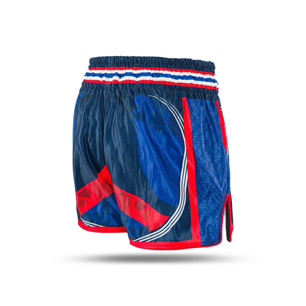 Pantalones cortos Muay Thai Rey Pro Boxeo Bandera
