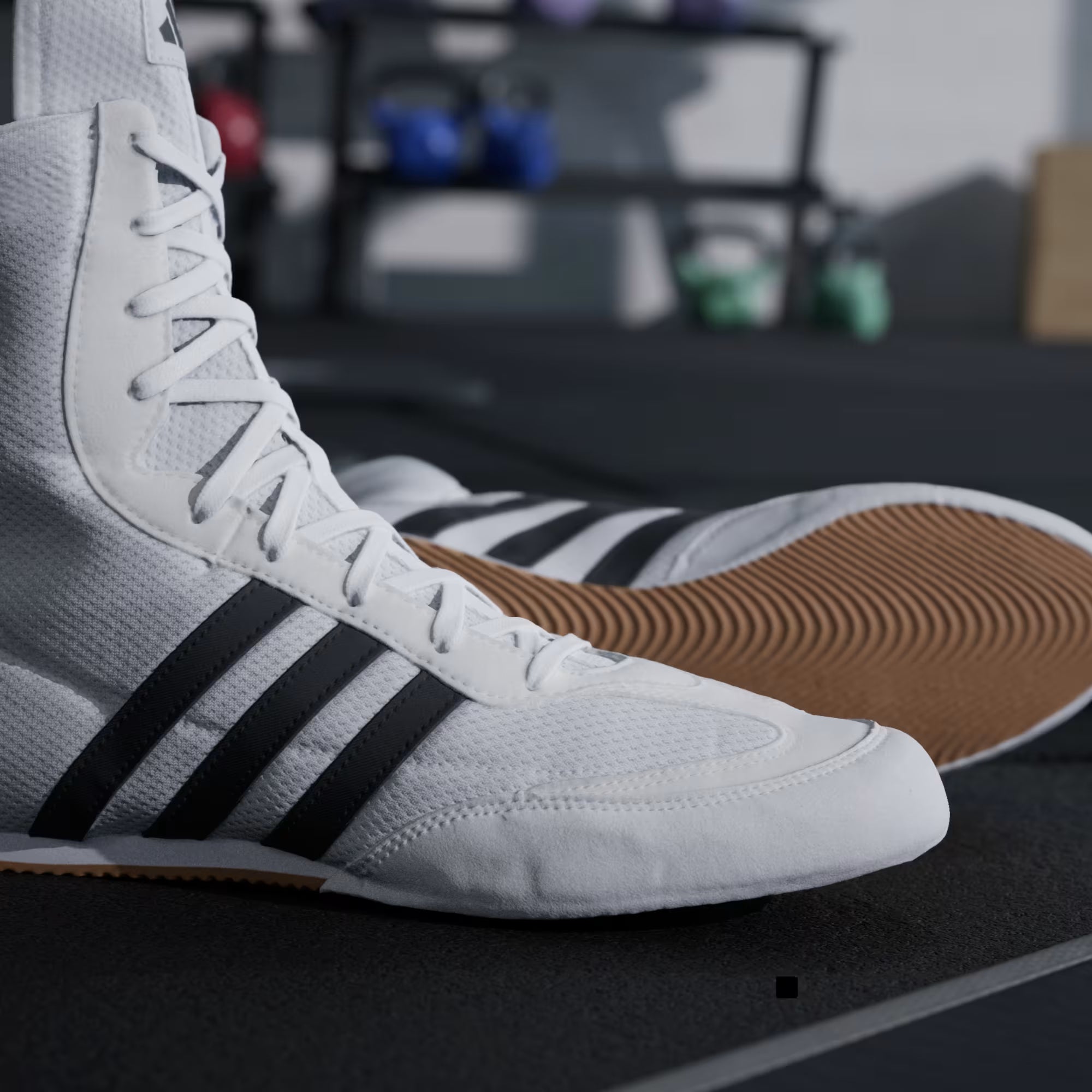 Zapatos de Boxeo Blancos Adidas Box Hog 2