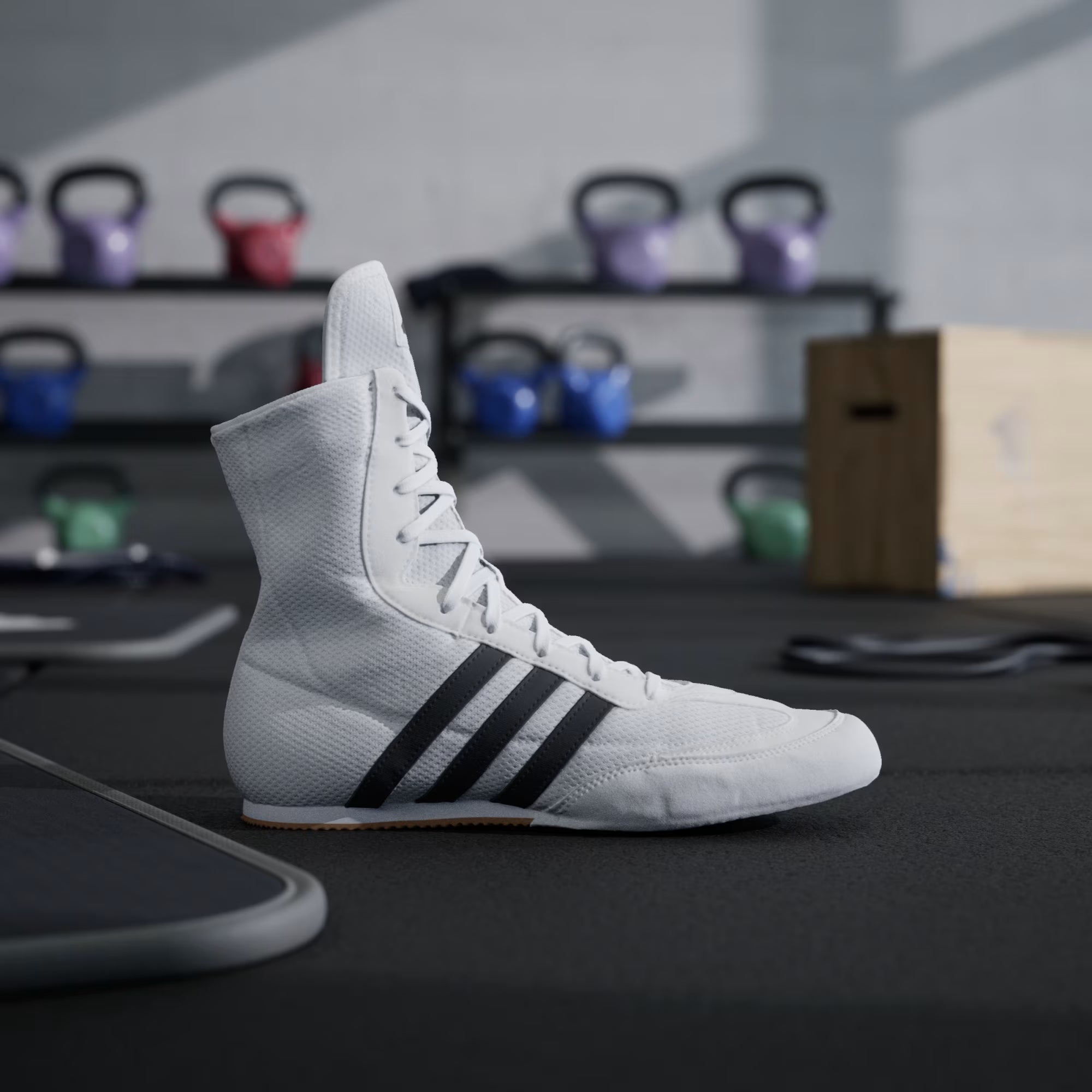 Zapatos de Boxeo Blancos Adidas Box Hog 2