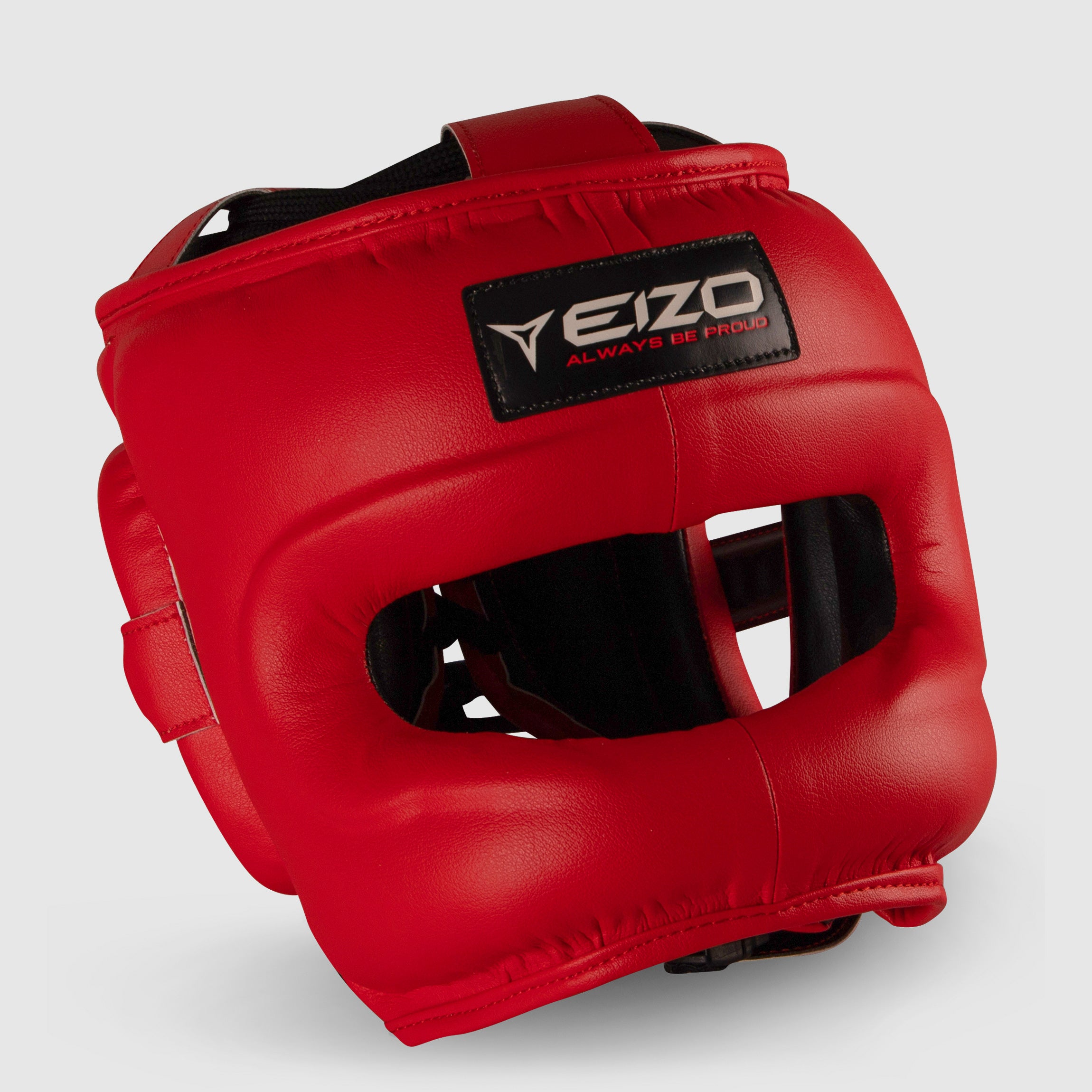 Helmet with Eizo Professional Nosebar