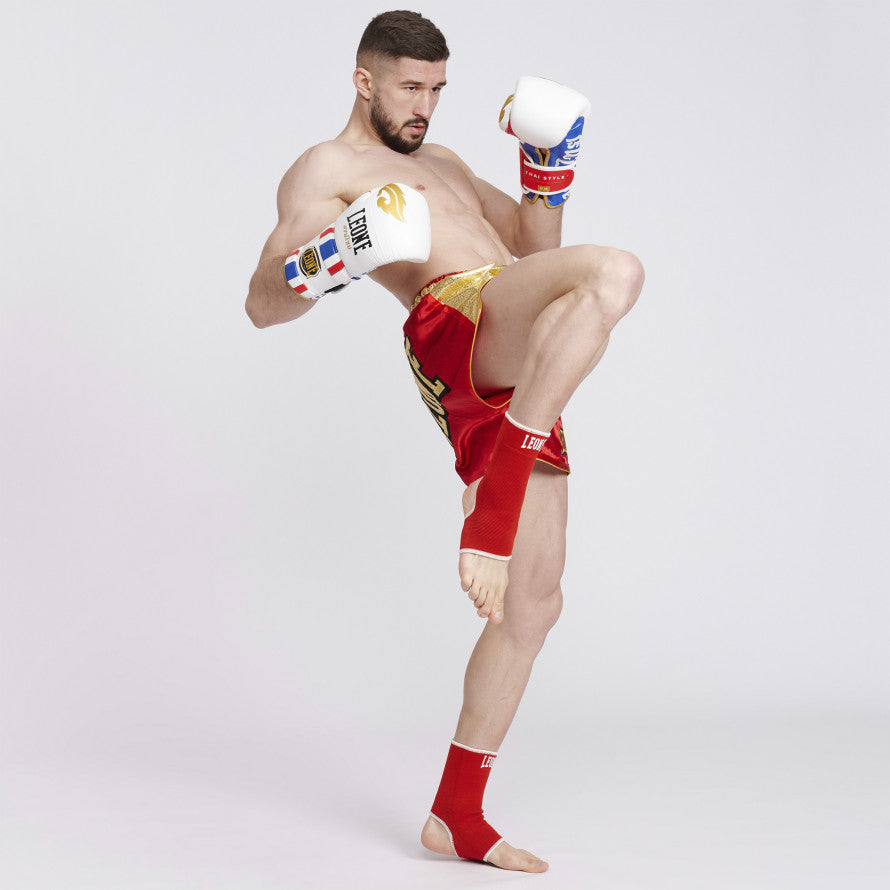 Umkehrbare Cavigliere Leone