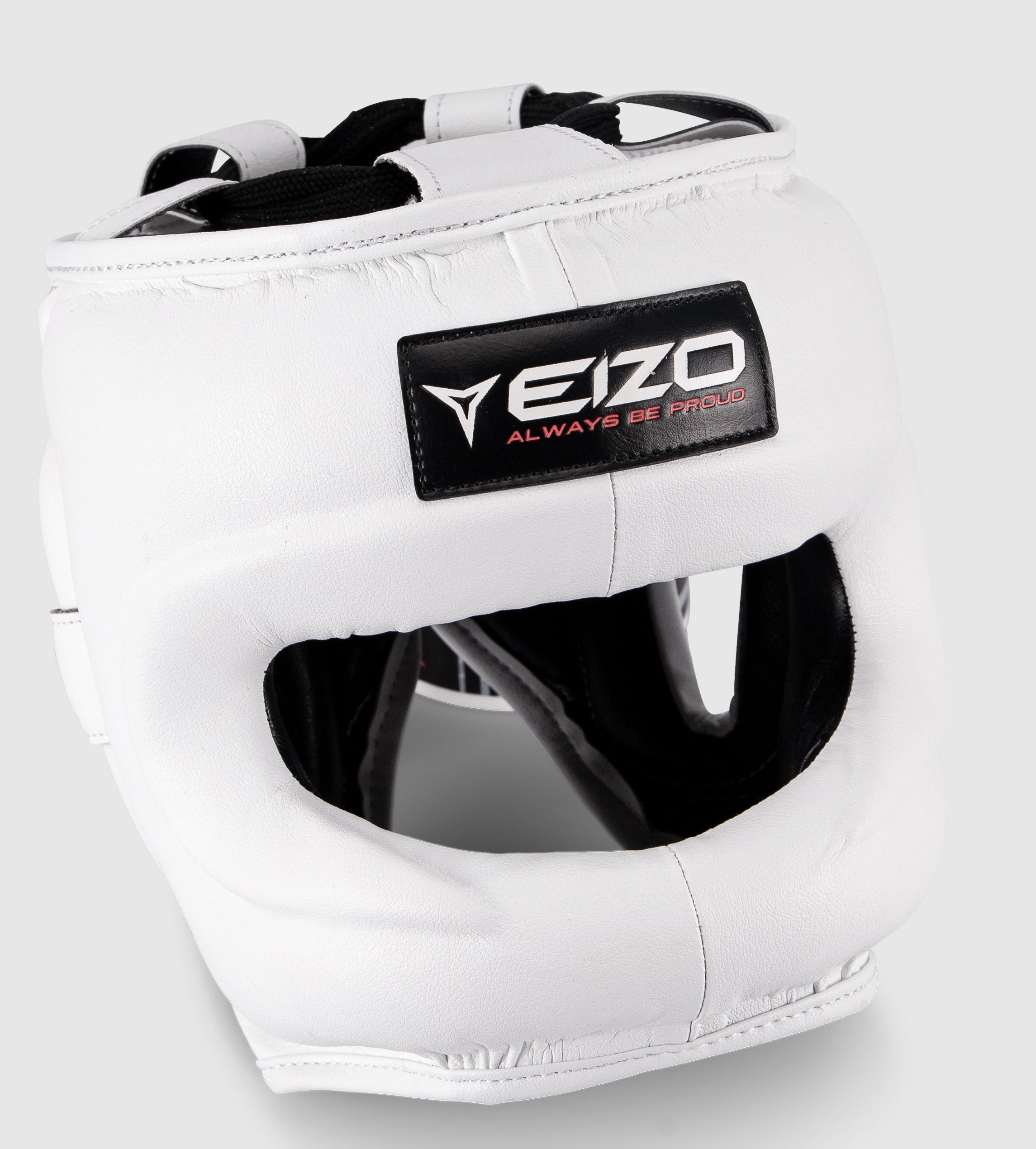 Helmet with Eizo Professional Nosebar