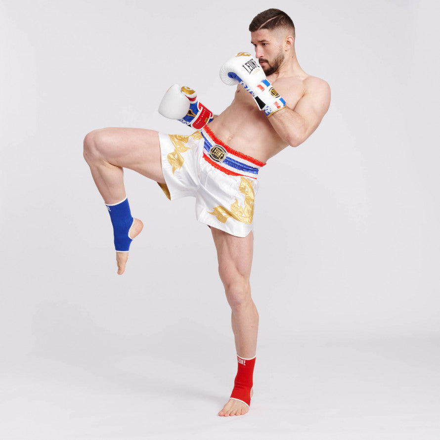 Guantes grandes Muay Thai Leone