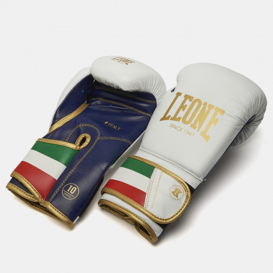 Leone Italy Boxing Gloves