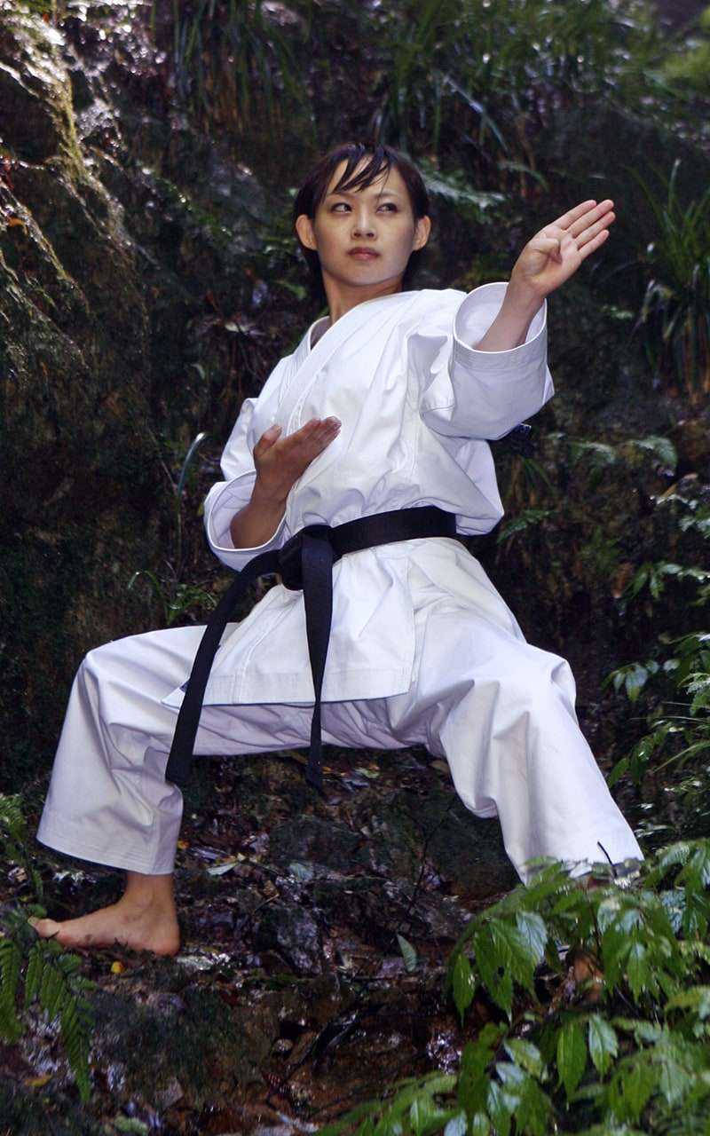 Karategi TOKAIDO Pesado Yakudo Hecho en Japón