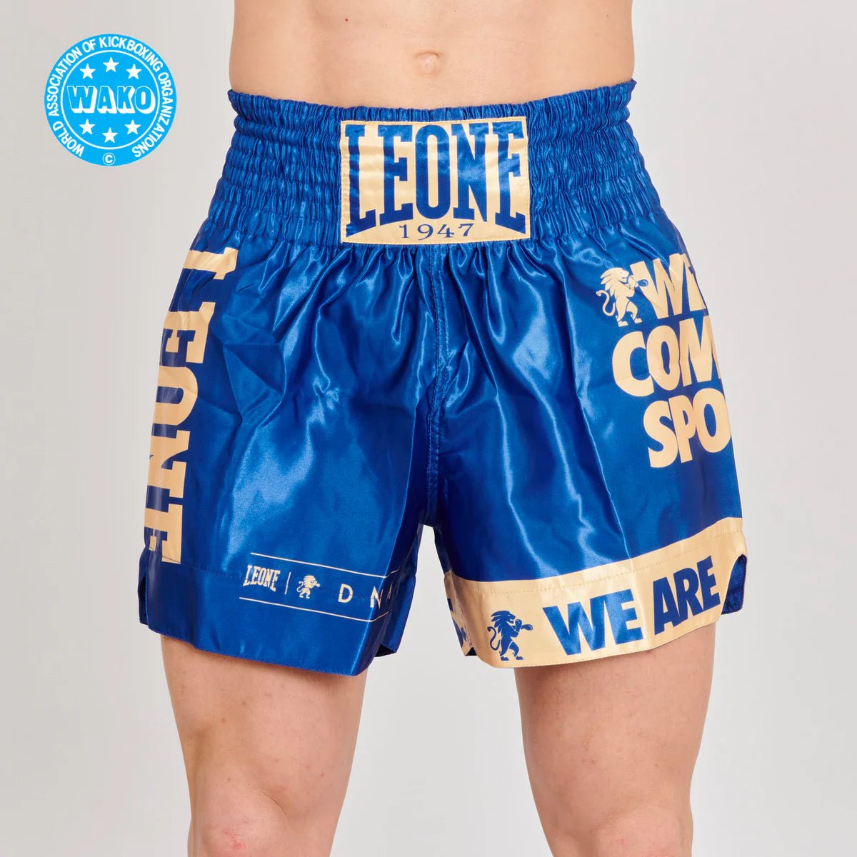 Pantaloncino Kick Boxing WAKO Leone - Fight Club Store