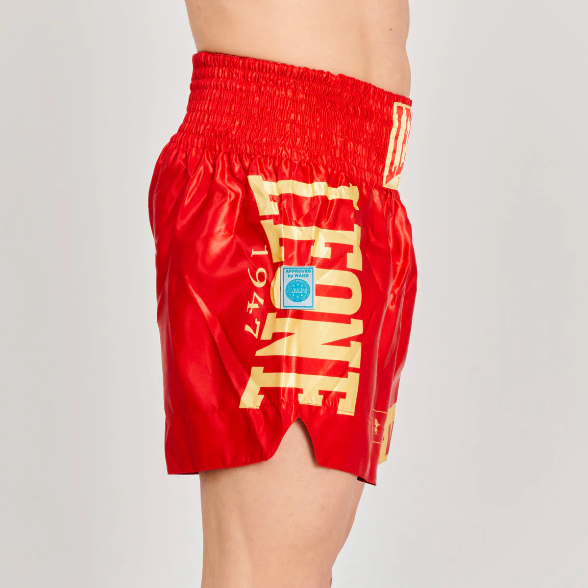 Pantalón corto de Kickboxing WAKO Leone