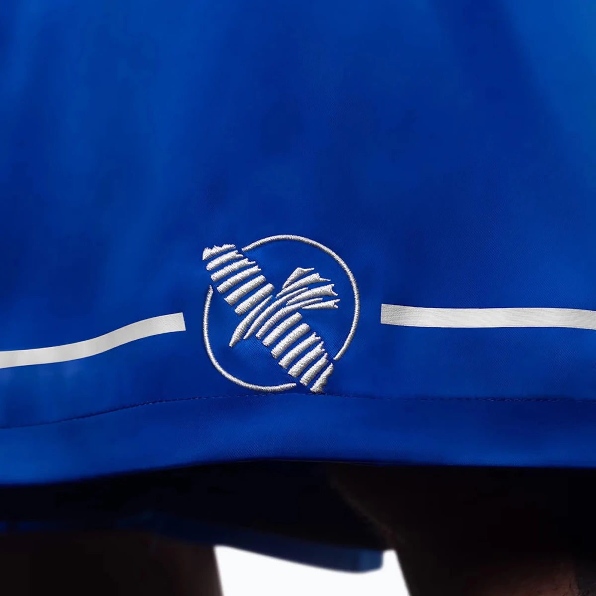 Hayabusa logo embroidered patch on blue boxing shorts