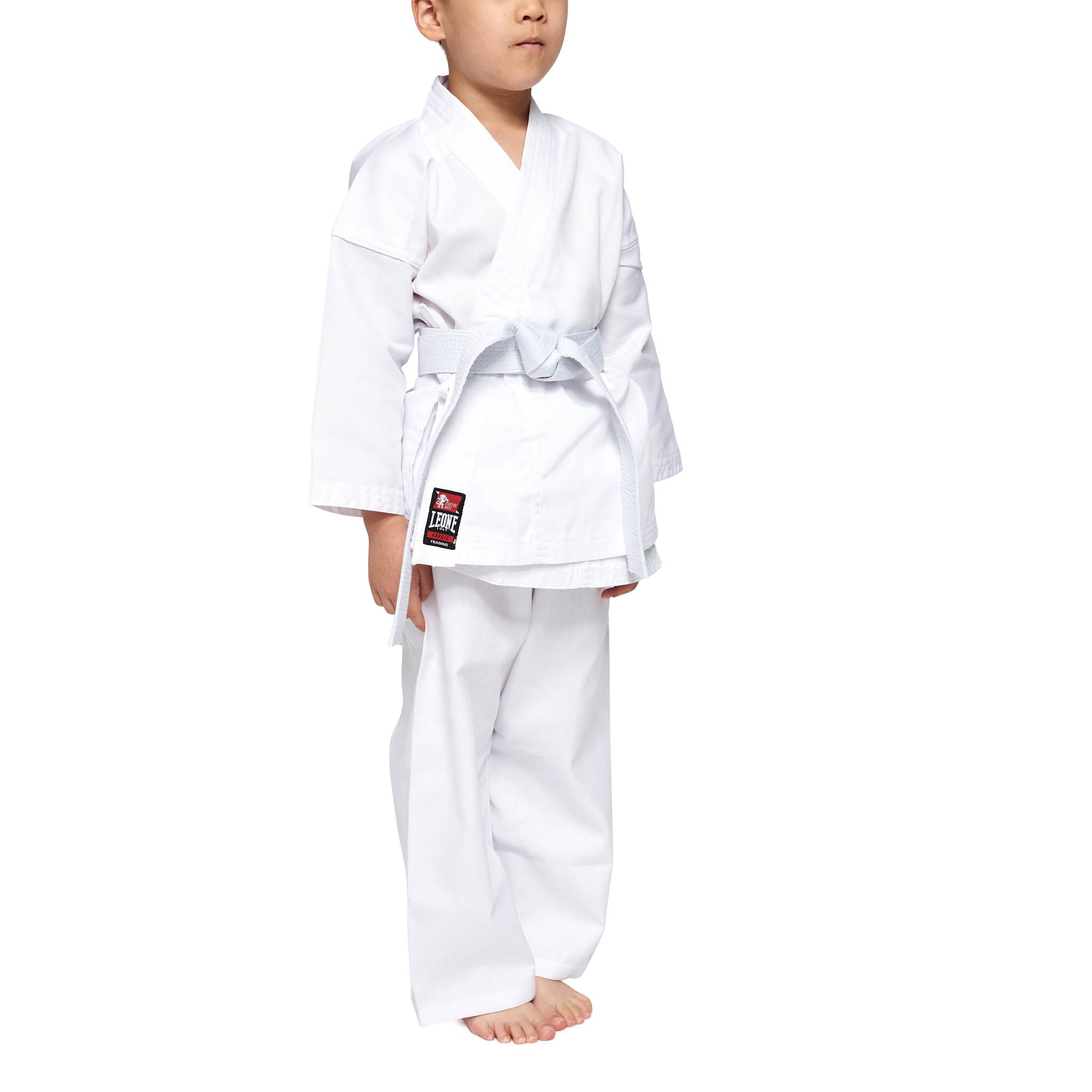 Karategi Leone Entraînement