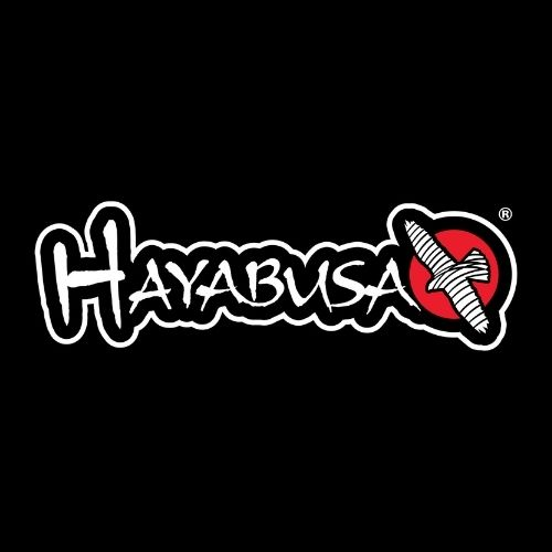 HAYABUSA