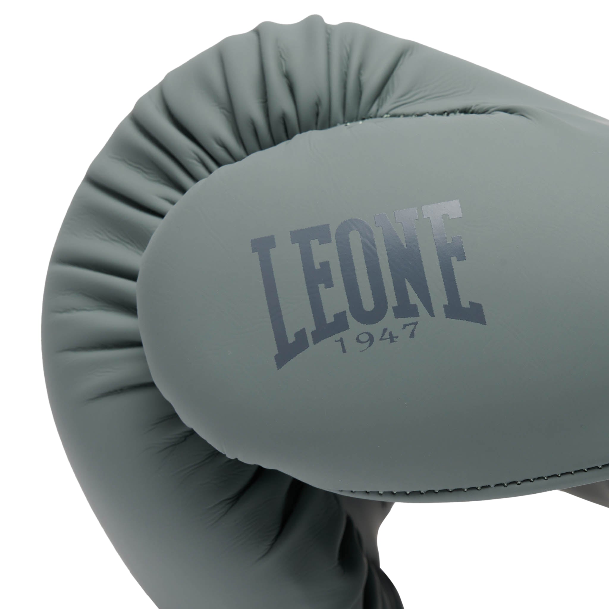 Leone Tone Boxing Gloves