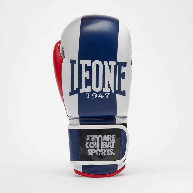 Leone Color Block Boxing Gloves 