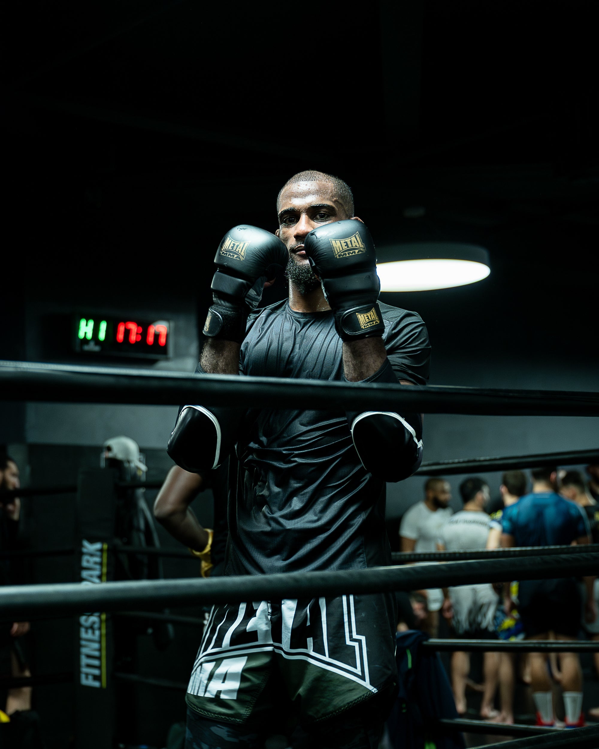 Legacy MMA Sparringhandschuhe