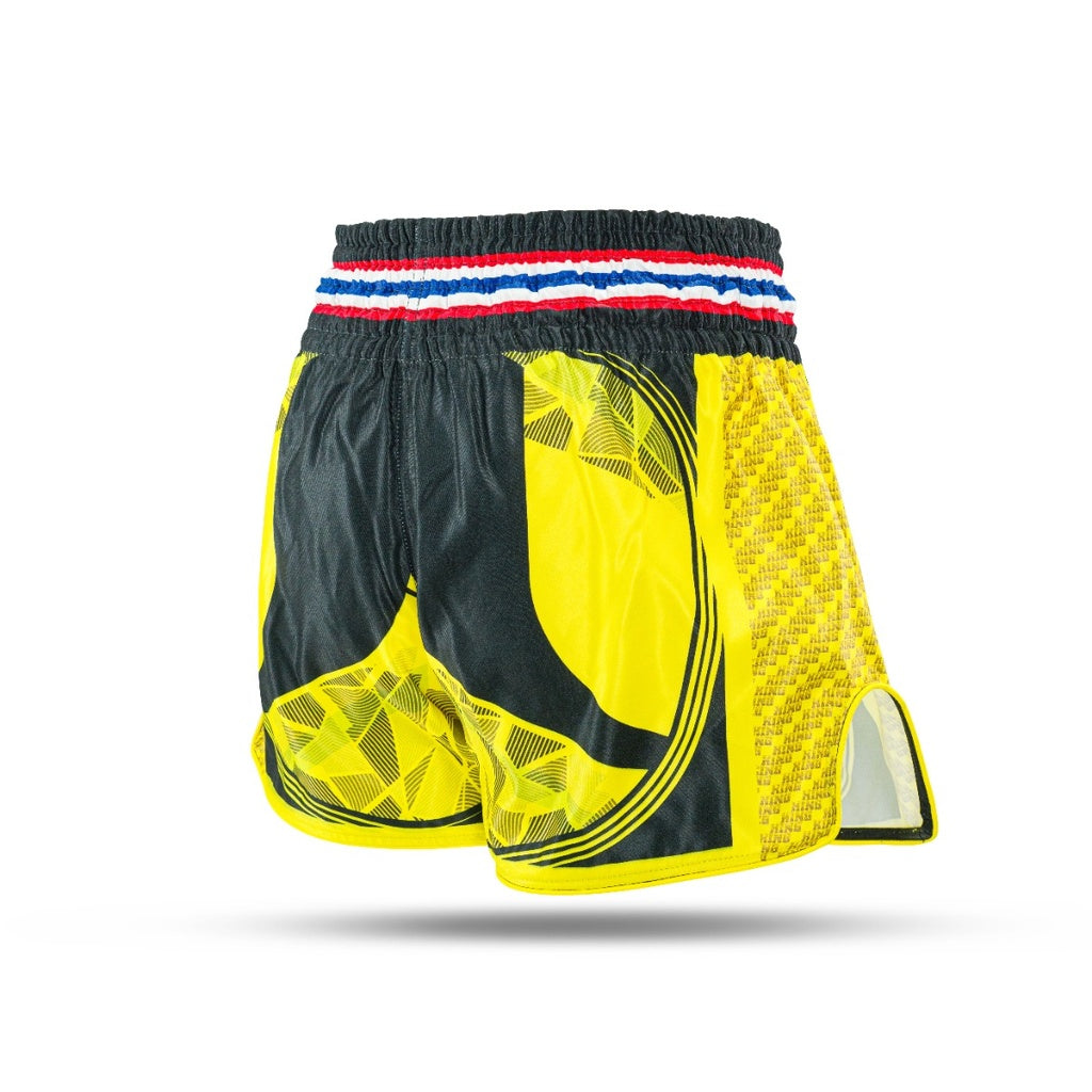 Pantalones cortos Muay Thai Rey Pro Boxeo Bandera