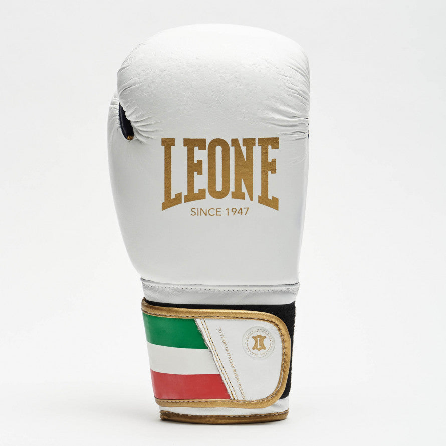 Leone Italy Boxing Gloves