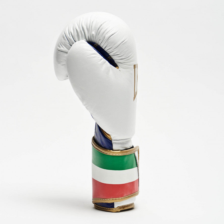 Leone Italy Boxing Gloves