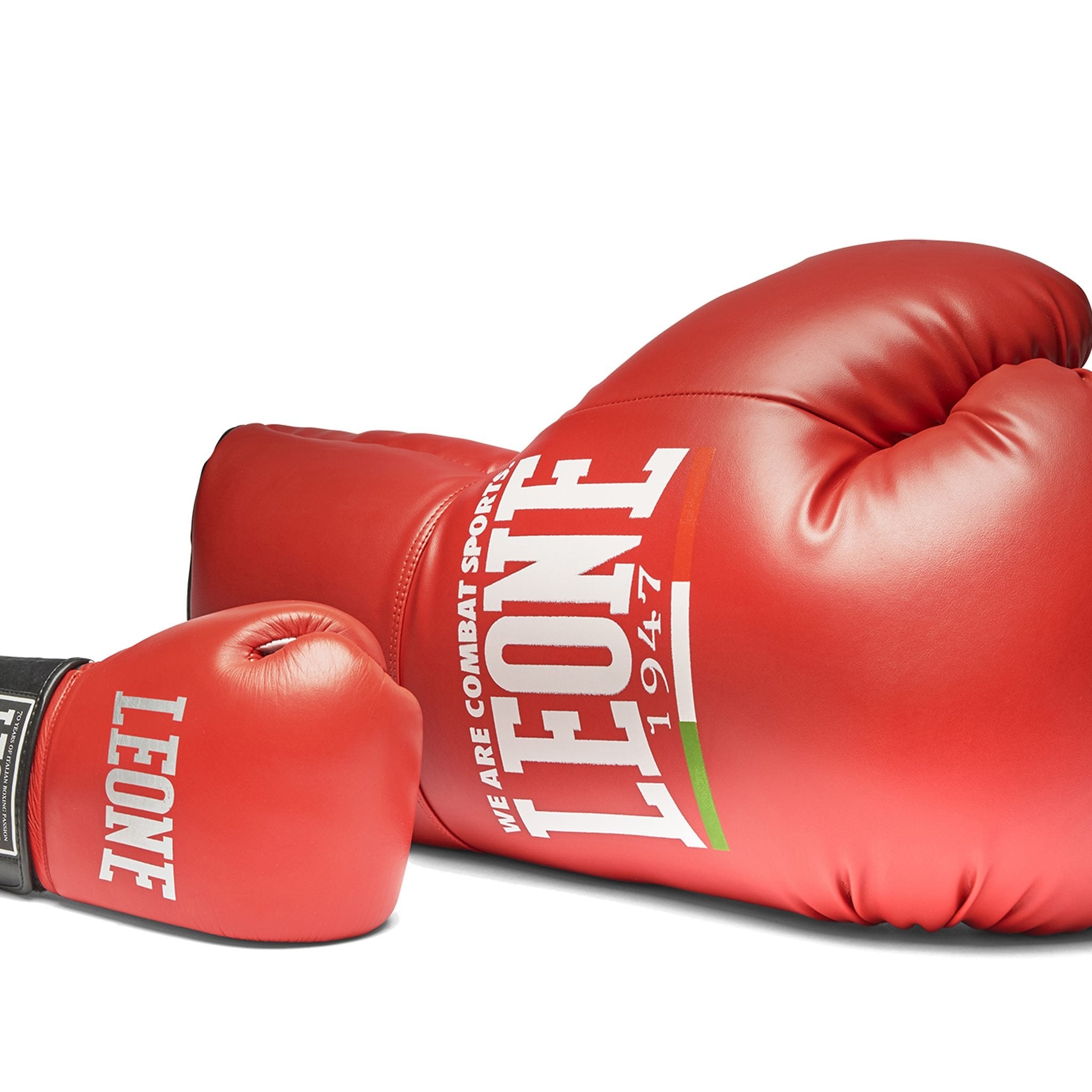Maxi Leone Boxing Glove